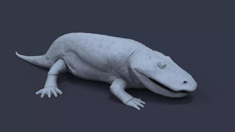 Eryops megacephalus