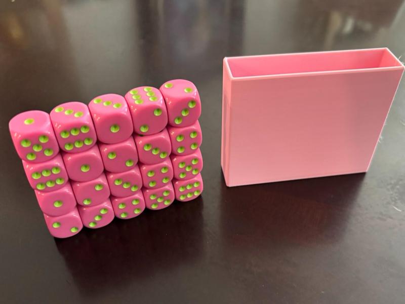 Dumpster Dice Game - Dice Caddy
