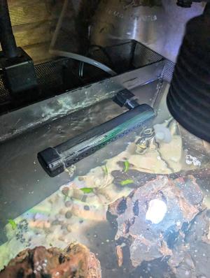 Fluval Flex Threaded Output Nozzle Bulkhead