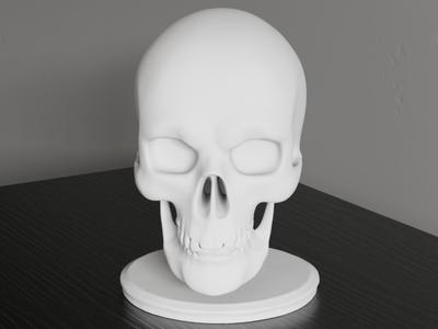 Skull with Stand