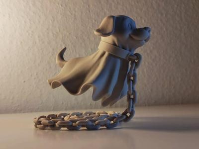 Floating Ghost Dog Illusion