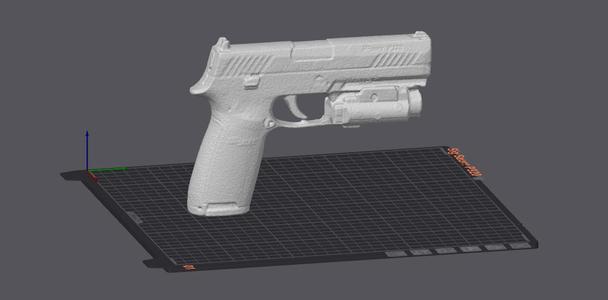 Sig Sauer P320 + Trustfire GM35