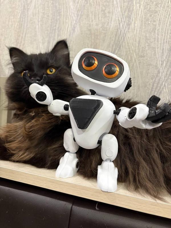 Cute Robot, Articulated Robot, Flexi Robot, No Support, Multi-color without AMS