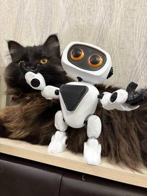 Cute Robot, Articulated Robot, Flexi Robot, No Support, Multi-color without AMS