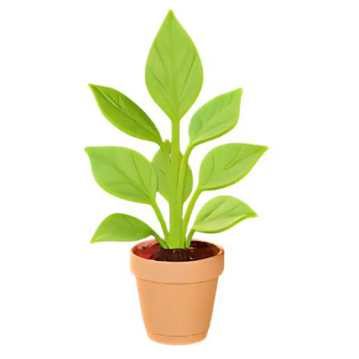 Potted Plant