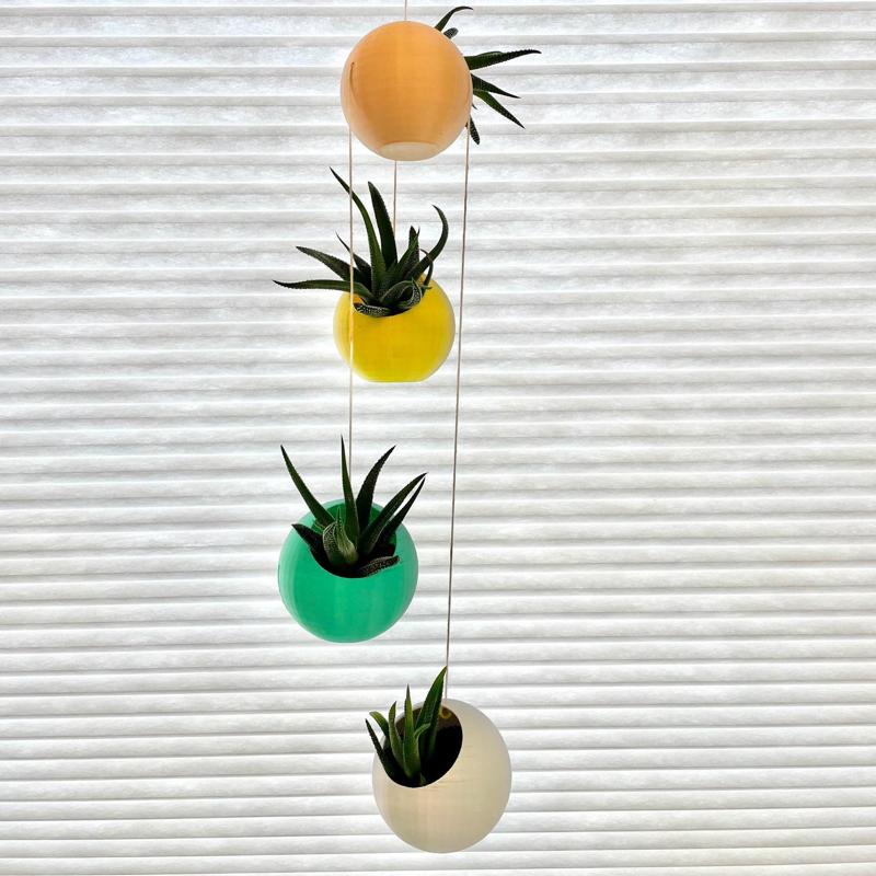 Suspended Spherical Succulent Splanters (Planters)