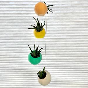 Suspended Spherical Succulent Splanters (Planters)