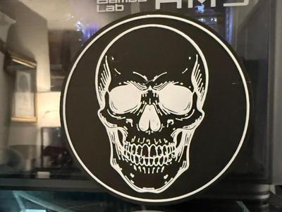 SKULL COASTER 