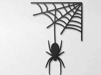 Spider Door