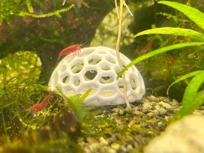 Fish hide - easy, fast and small