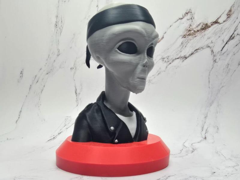Grey Alien Bust with Bandana and Leather Jacket