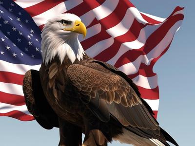 Bald Eagle HF