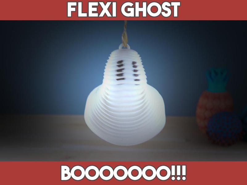 Flexi Ghost