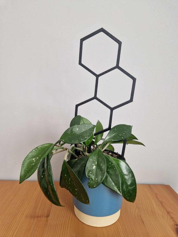 Honeycomb Indoor Plant Trellis