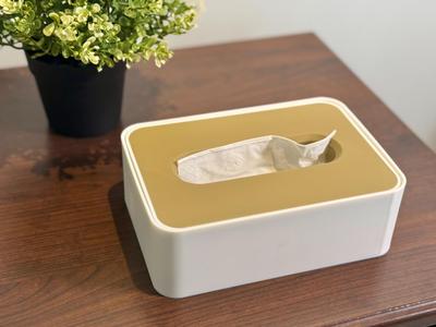 Sunken Tissue Box