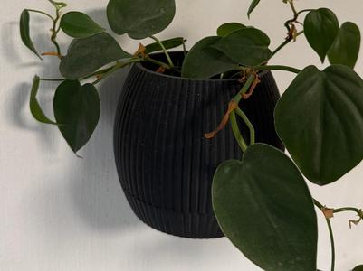 Wall planter with drip tray