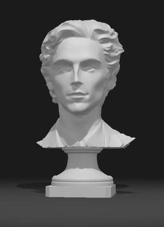 Timothee chalamet Acteur Portrait Head Sculpture