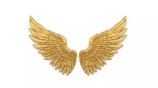 Wings Printable carved decor 21