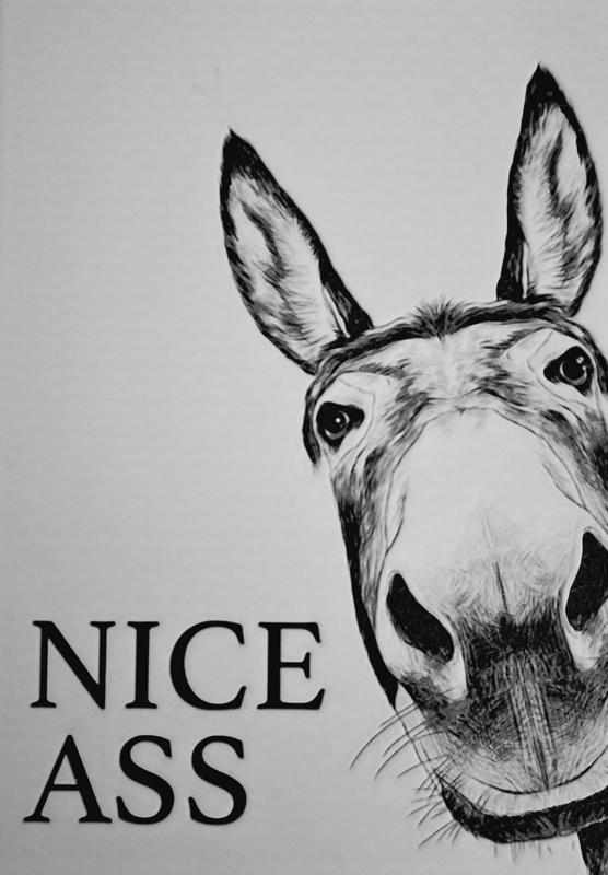 HueForge - Nice Ass Donkey - Fitness Motivation