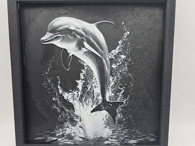 DOLPHIN