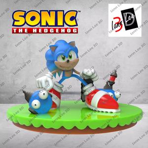 Sonic the Hedgehog Puercoespin Erizo