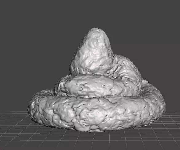 REAL POOP PLASTIC LIFESIZE MODEL FOR JOKES PRANK FRIENDS