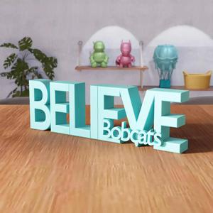 Believe Bobcats Text - 445