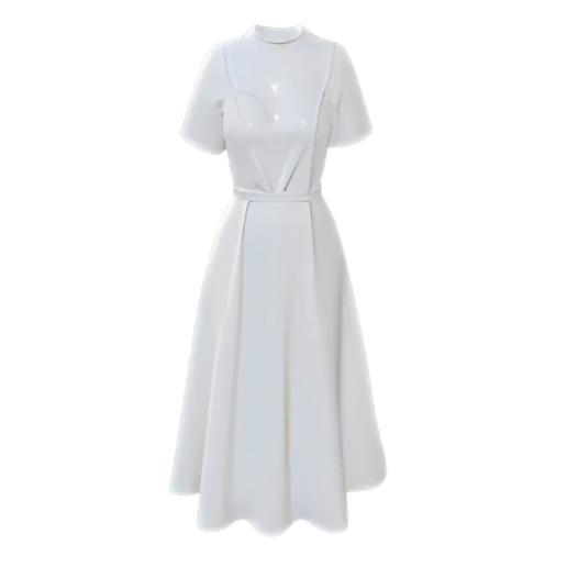 Elegant Vintage Dress