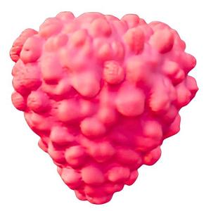 Pink Bumpy Fruit Model