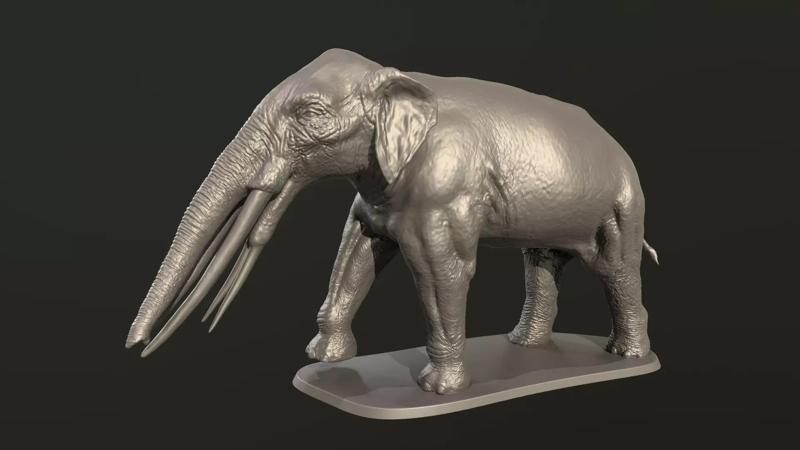 Stegotetrabelodon syrticus
