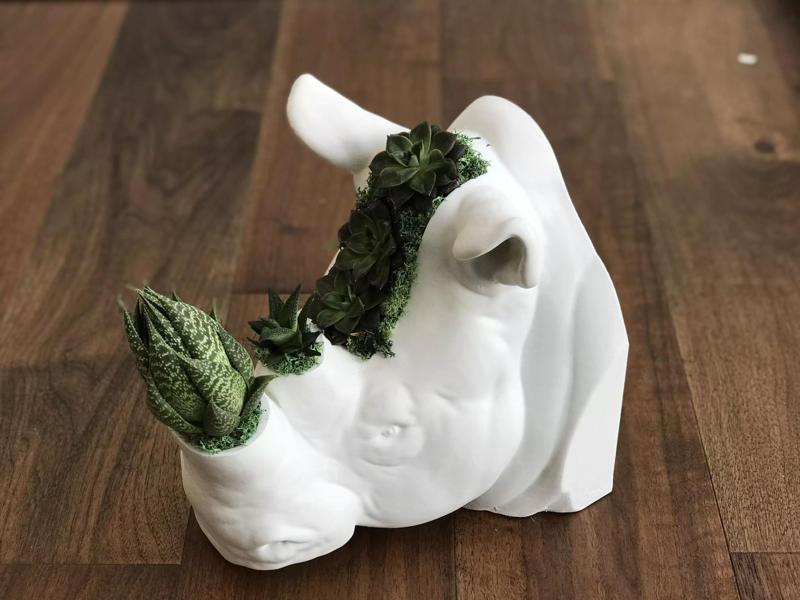 Rhinoceros Head Plant Pot