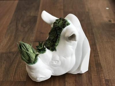 Rhinoceros Head Plant Pot