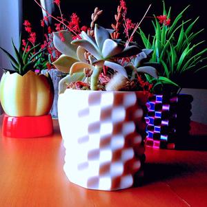 Shark Skin Planter