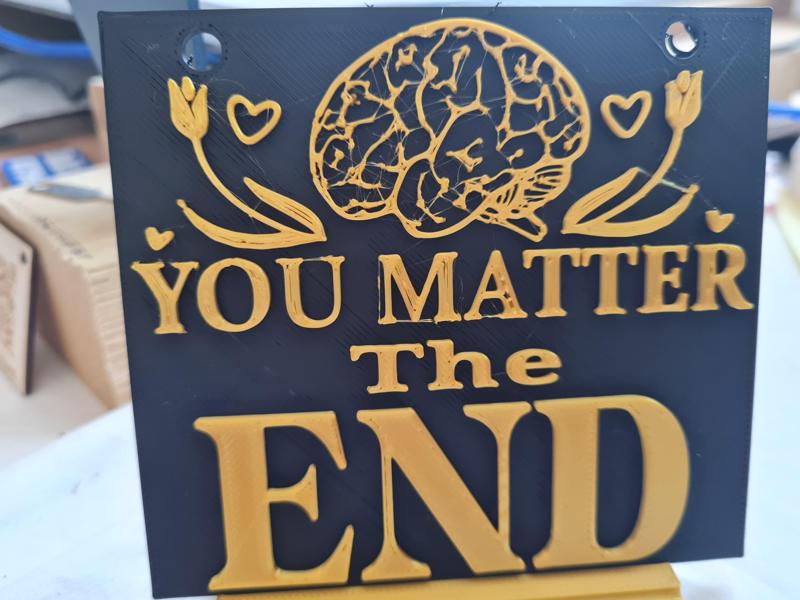 Daily Affirmation You Matter' Plaque