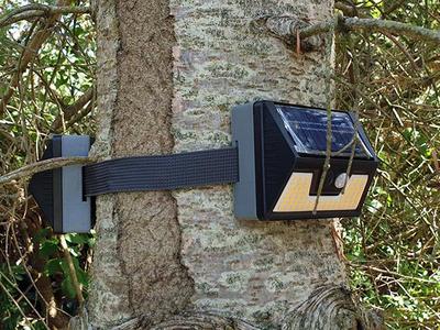 Solar lights - Support