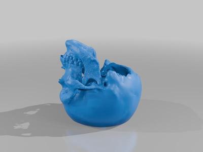 Human Skull From CT Scan