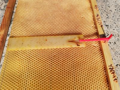 Optapi, beehive optimization accessory