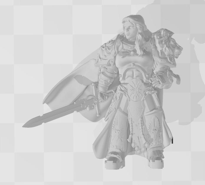 Shield Captain Valdraice