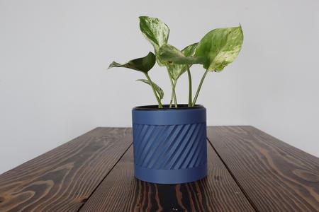 RISE PLANTER POT • MODERN HOME DECOR
