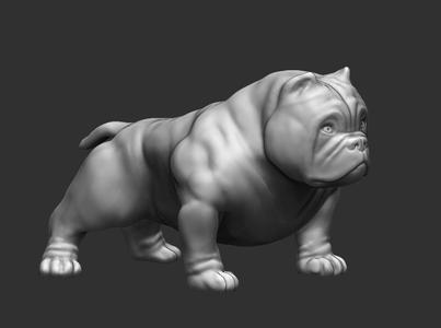 American Bully 3D .STL