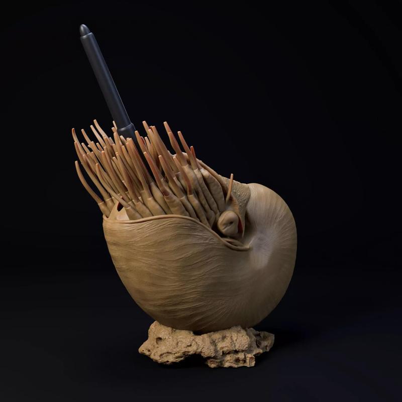 Nautilus pen holder pre-supported