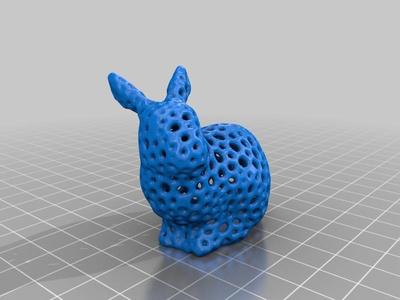 Voronoi Rabbit