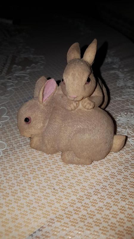  Scanned rabbit figure
