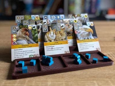 Player card and resource tray