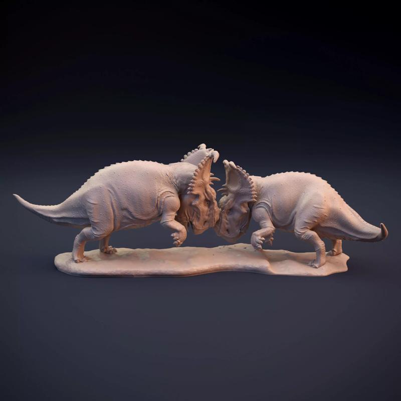 Pachyrhinosaurus fighting intended for 3D printing