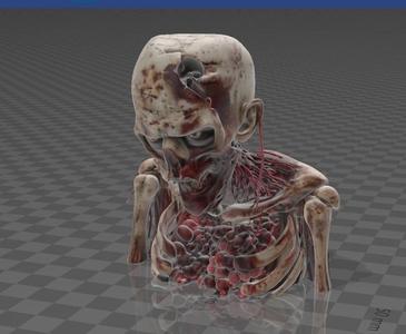 Zombie Bust – Flesh Gore brain guts  Bone with Intense Realism