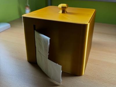 Cosmetic Wipe Dispenser Box