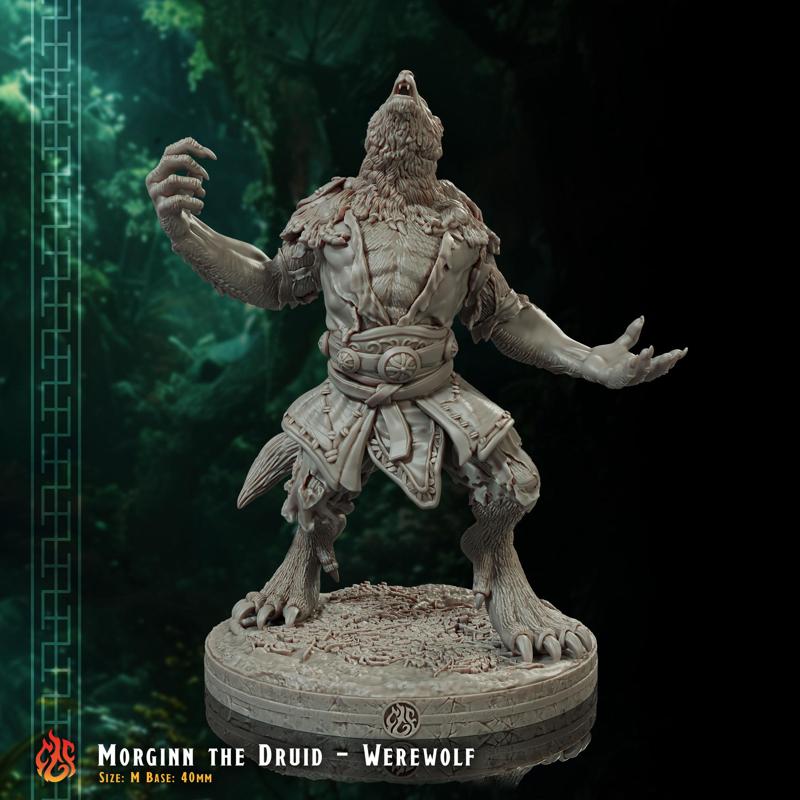 Morginn the Druid, Werewolf form