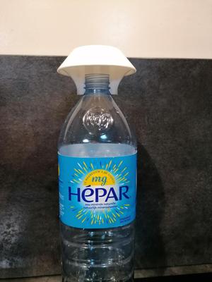 Asian hornet trap (HEPAR bottle)