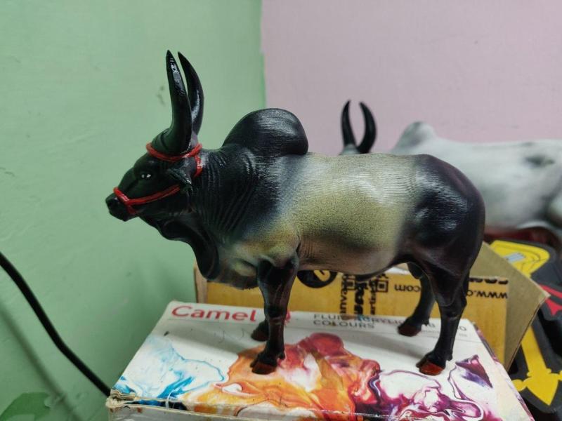 kangayam kaalai jallikattu